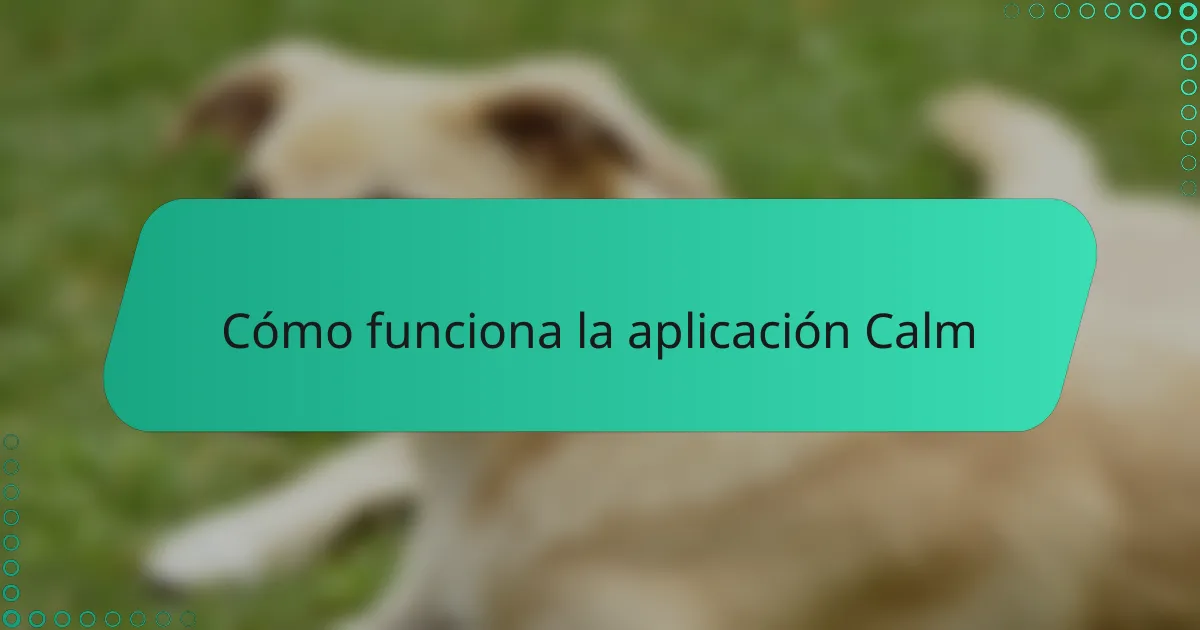 Cómo funciona la aplicación Calm