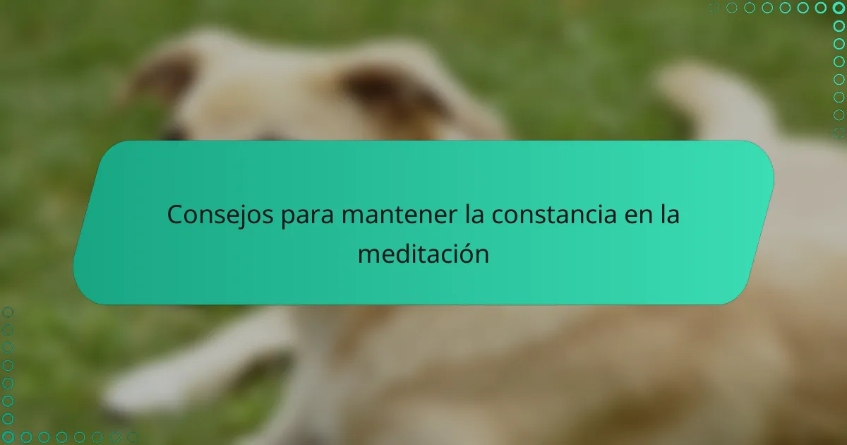 Consejos para mantener la constancia en la meditación